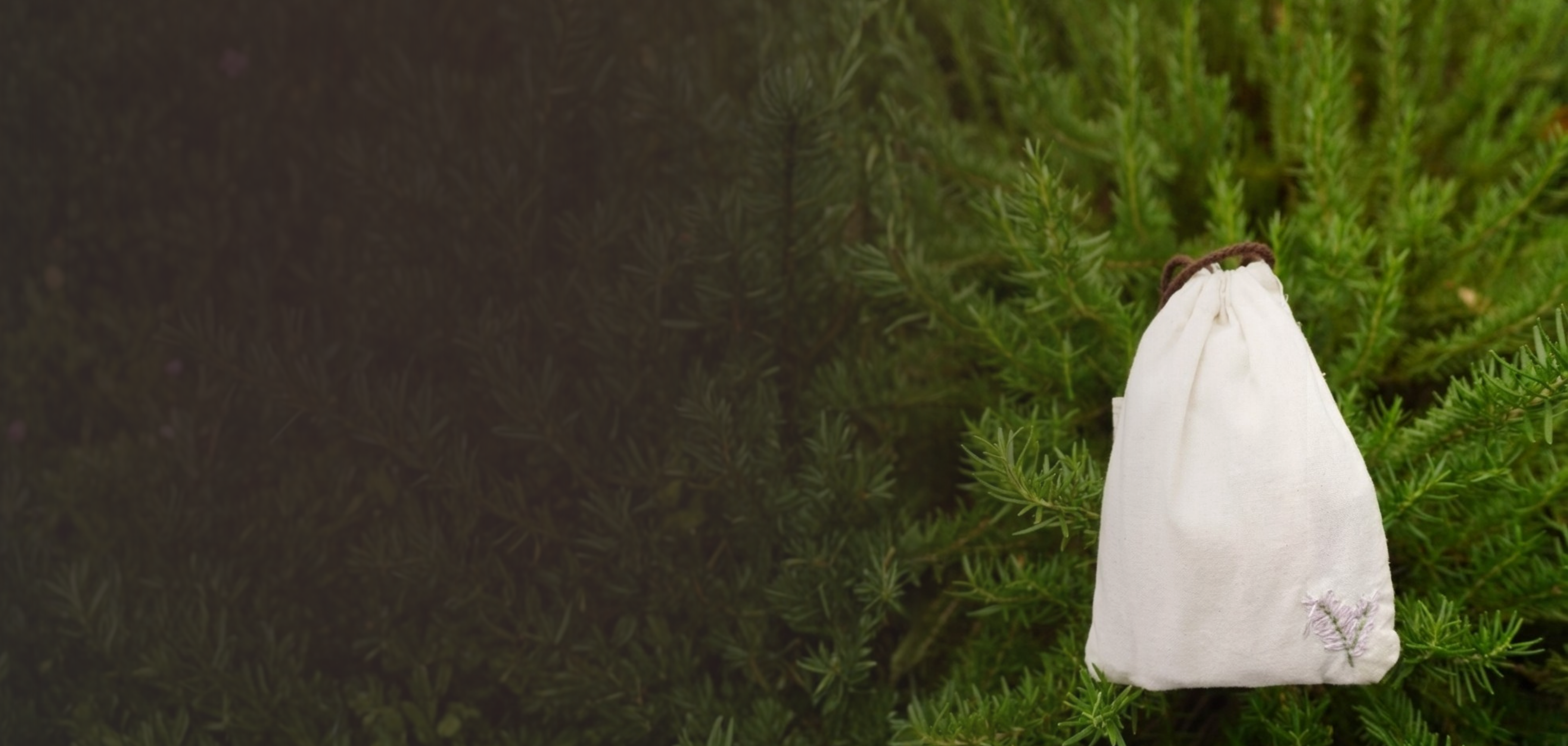 Avocain purpose hero